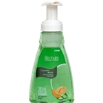 Hillyard, Cucumber-Melon Foam Soap, 14 oz, Cucumber, each